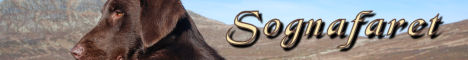 http://www.sognafaret.no