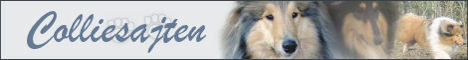 http://www.colliesajten.com