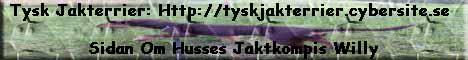 http://tyskjaktterrier.cybersite.se