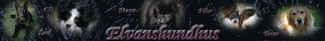 http://elvanshundhus.cybersite.se/startsida.html